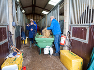 AK171122-84 - Owners look around stables